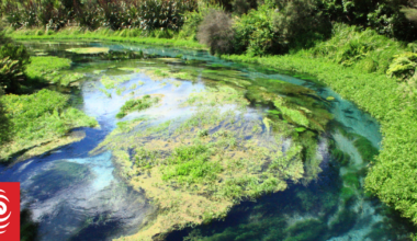 Conservation Minister says Blue Spring not a priority after councillor seeks funds to protect site