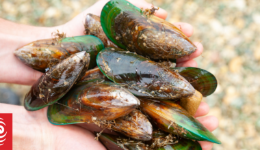 Rules on fishing, collecting shellfish vary by species and location