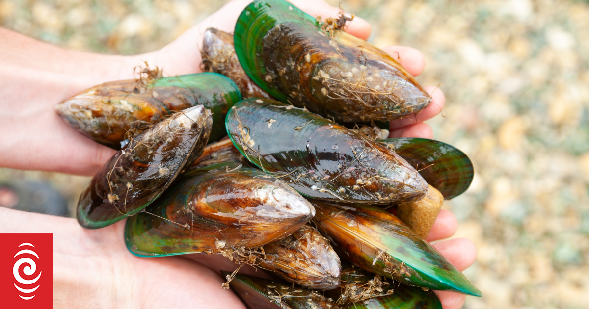 Rules on fishing, collecting shellfish vary by species and location