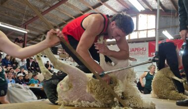 Taihape Shears: Welshman Gethin Lewis claims open shearing title