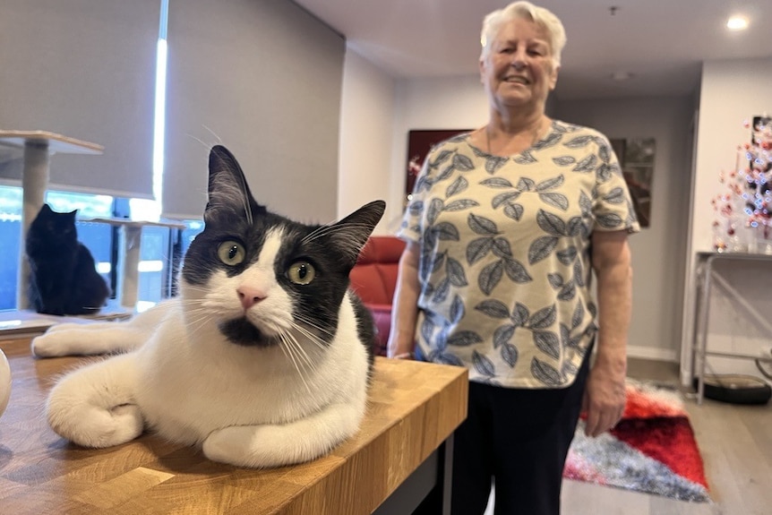 A woman with white hair smiling indoors near a cat.