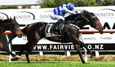 World champion jockey James McDonald made an offer he can’t refuse for Trentham