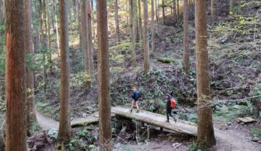 Kumano Kodo family hike: How we tackled Japan’s sacred trail with teens