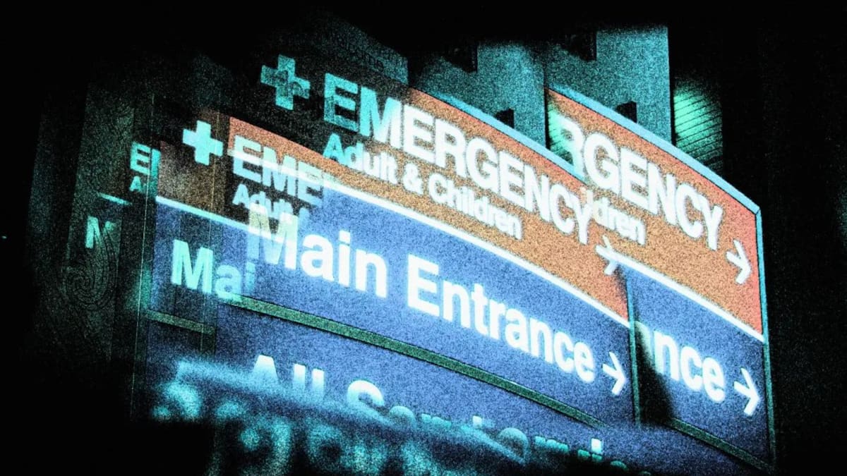 Woman waited 11 hours at Wellington Hospital’s emergency department, was not seen by doctor
