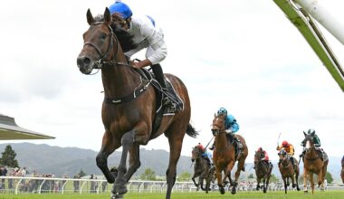 Trainer Stephen Marsh says Ammirati’s quick back-up at Ellerslie is part of Derby plan