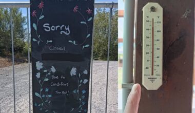 Extreme heat shuts Hawke’s Bay brewery