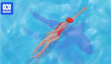 After a horror week of shark attacks, how do we sift facts from fear?