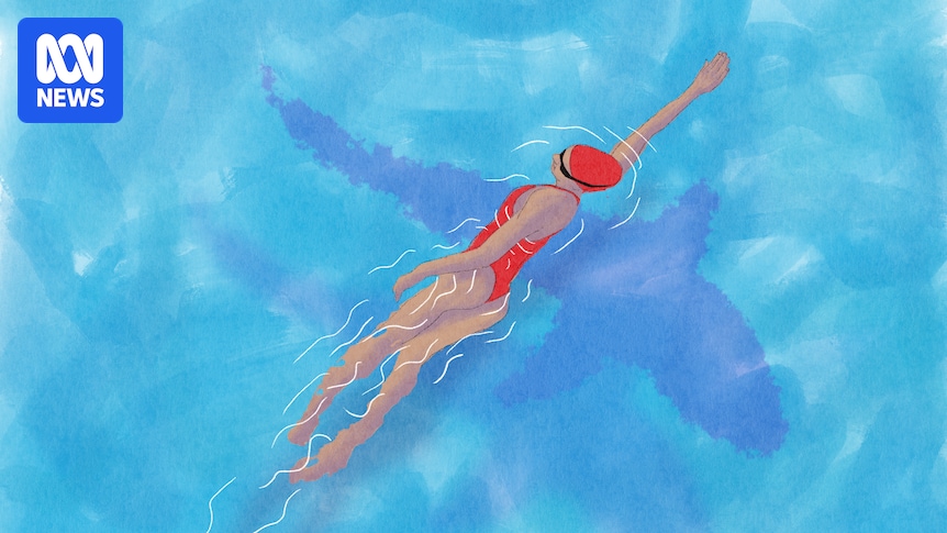 After a horror week of shark attacks, how do we sift facts from fear?