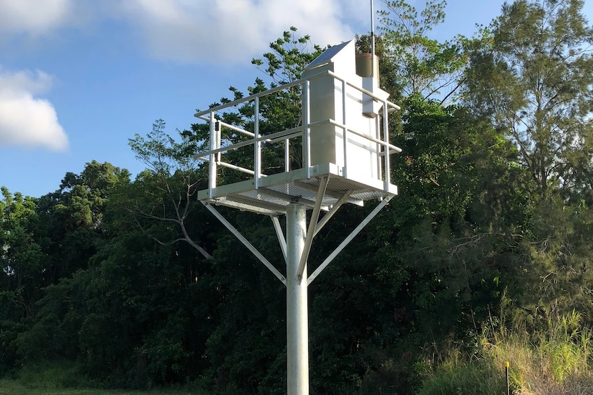 A light-coloured box with an aerial on top of a pole in a bushy area.
