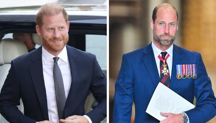 Prince Harry’s warning leaves Prince William ‘furious’: ‘try and change it’