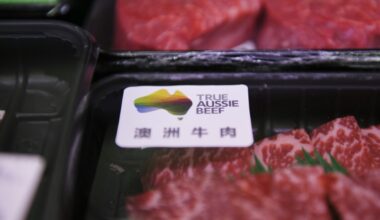 China says to impose extra 55% tariffs on some beef imports