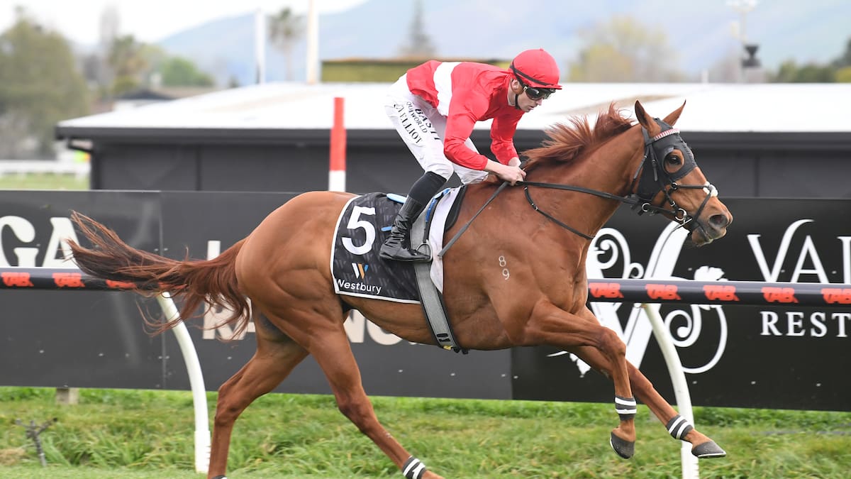 Is this age-old racing saying true? That might depend on the horse