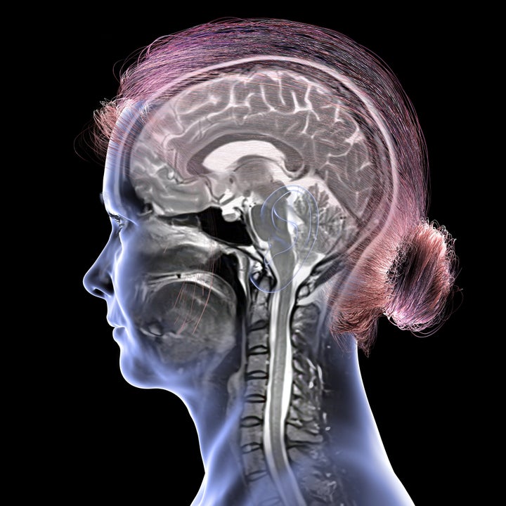 A study published in the Journal of Sport and Health Science suggests that engaging in 150 minutes of consistent aerobic weekly exercise may help keep your brain younger.