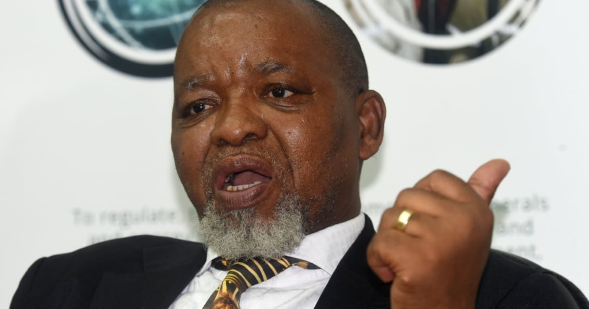 Mantashe roasted over ‘basking in the sun’ unemployment remarks