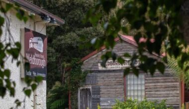 Travel company sends tourists to AI-generated Tasmanian hot springs