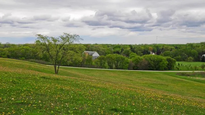 scott d. feldstein / Wikimedia Commons