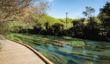 Blue Springs Te Waihou parking warning as drivers risk unsafe stops