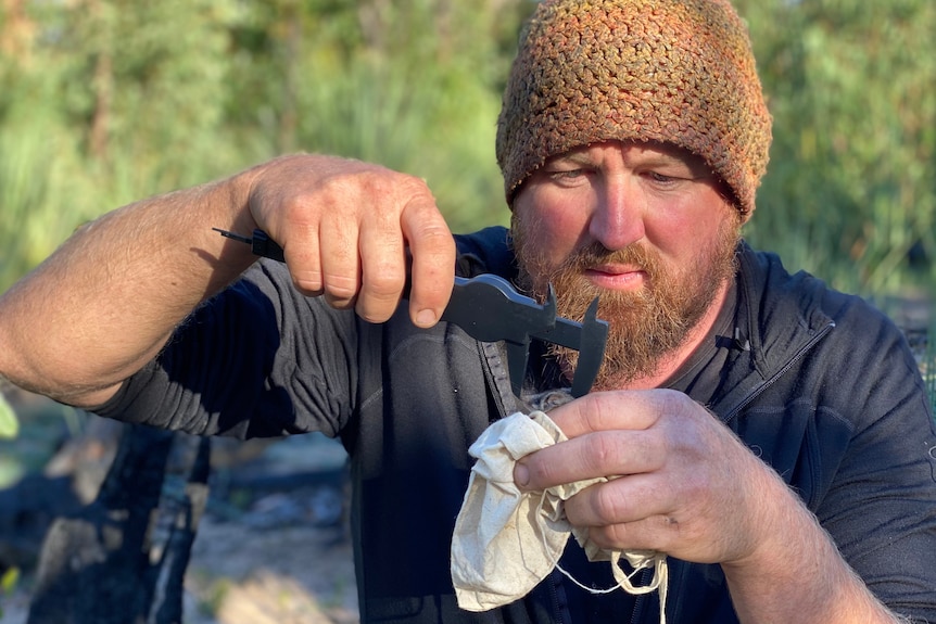 A bearded man in a beanie uses a tool to measure a small animal while standing in a bushy area.