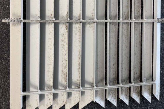 mould on blinds in hospital