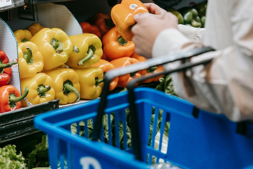 A person holding a shopping basket with a capsicum in their hand, standing in front of a fresh food display.