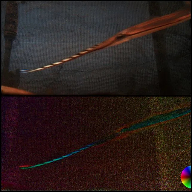 The courtship display of a male Andrea cuttlefish in normal (top) and polarized light (bottom). (<span>Arata Nakayama</span>)