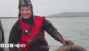 More than 500 tyres collected from Plymouth Sound seabed