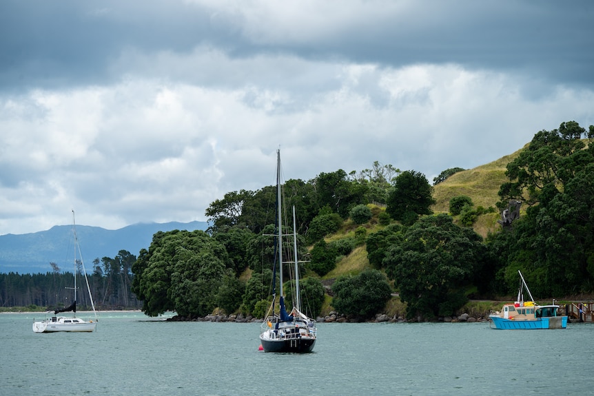 A few boats in a bay, with a green mount in the background and a stormy sky.
