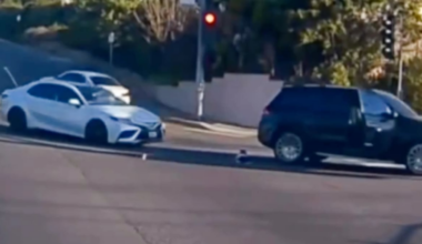 California mother arrested after 19-month-old miraculously survives being thrown from car