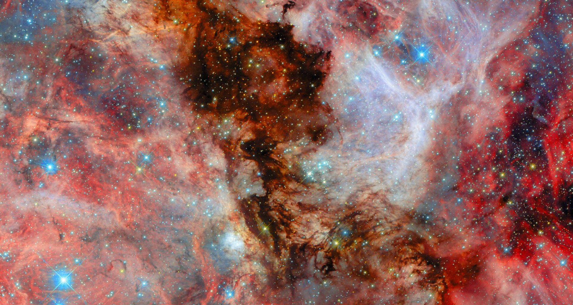 A field filled with stars and covered by clouds of gas and dust. In the centre, a thick column of dark black dust blocks light from stars that light it up from behind. More clouds behind those stars are illuminated in pale colours. Complex, layered filaments of red dust lie to the left and right. Blue, white and gold stars in various sizes can be seen around, within and through the colourful layers of dust.