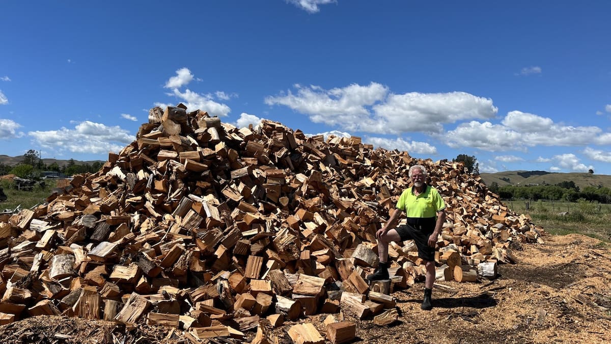 Hawke’s Bay firewood merchant urges IRD crackdown as ‘cowboy’ sales soar on Facebook