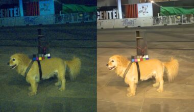 A golden retriever stands on pavement at night with a harness holding a device and a color checker on its back. The image is split in half, showing a yellowish left side and a brighter, clearer right side.