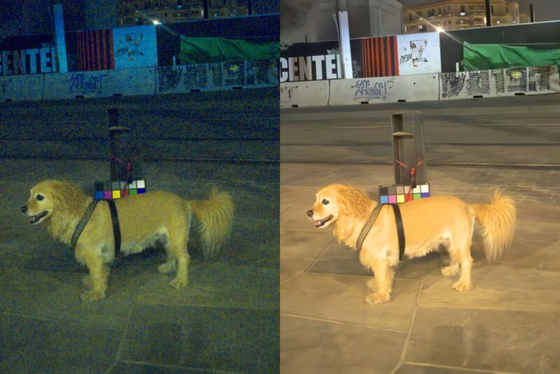 A golden retriever stands on pavement at night with a harness holding a device and a color checker on its back. The image is split in half, showing a yellowish left side and a brighter, clearer right side.