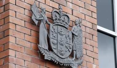 Ex-Kaipara councillor Ihapera Paniora discharged over Whangārei assaults