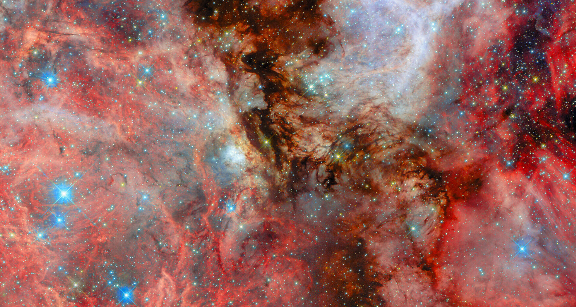 A neighbouring vista of stellar birth