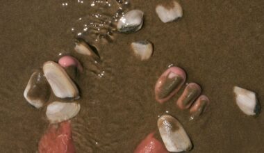 Northland illegal toheroa and tuatua catches prompt fisheries warning