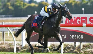 Mick On Monday: Huge Australian assault planned on NZ’s summer riches