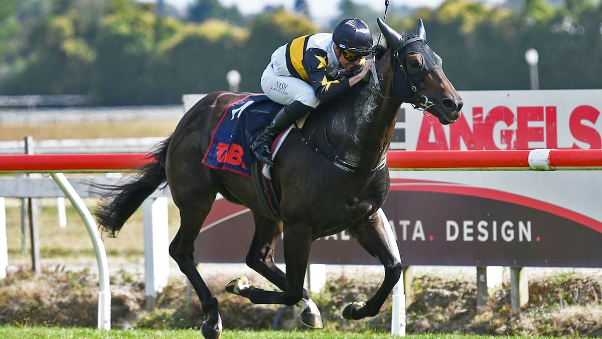 Mick On Monday: Huge Australian assault planned on NZ’s summer riches