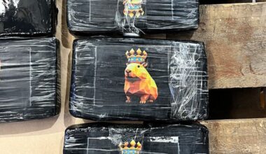 Port of Tauranga: Cocaine and meth seizures surge amid push by drug cartels