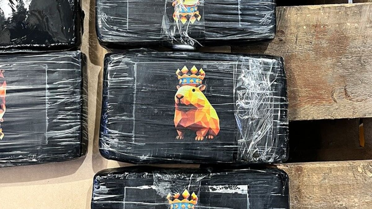 Port of Tauranga: Cocaine and meth seizures surge amid push by drug cartels