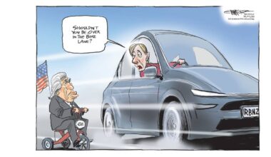 Rod Emmerson’s cartoons: Week of January 12 - 18