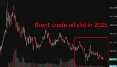 OPEC+ holds output steady as geopolitical tensions rise