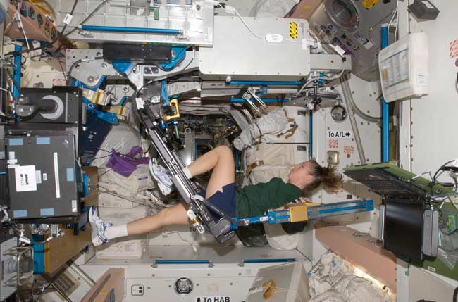 Astronaut Sandra Magnus, Expedition 18 flight engineer, exercises on the advanced Resistive Exercise Device (aRED) in the Unity node of the International Space Station.