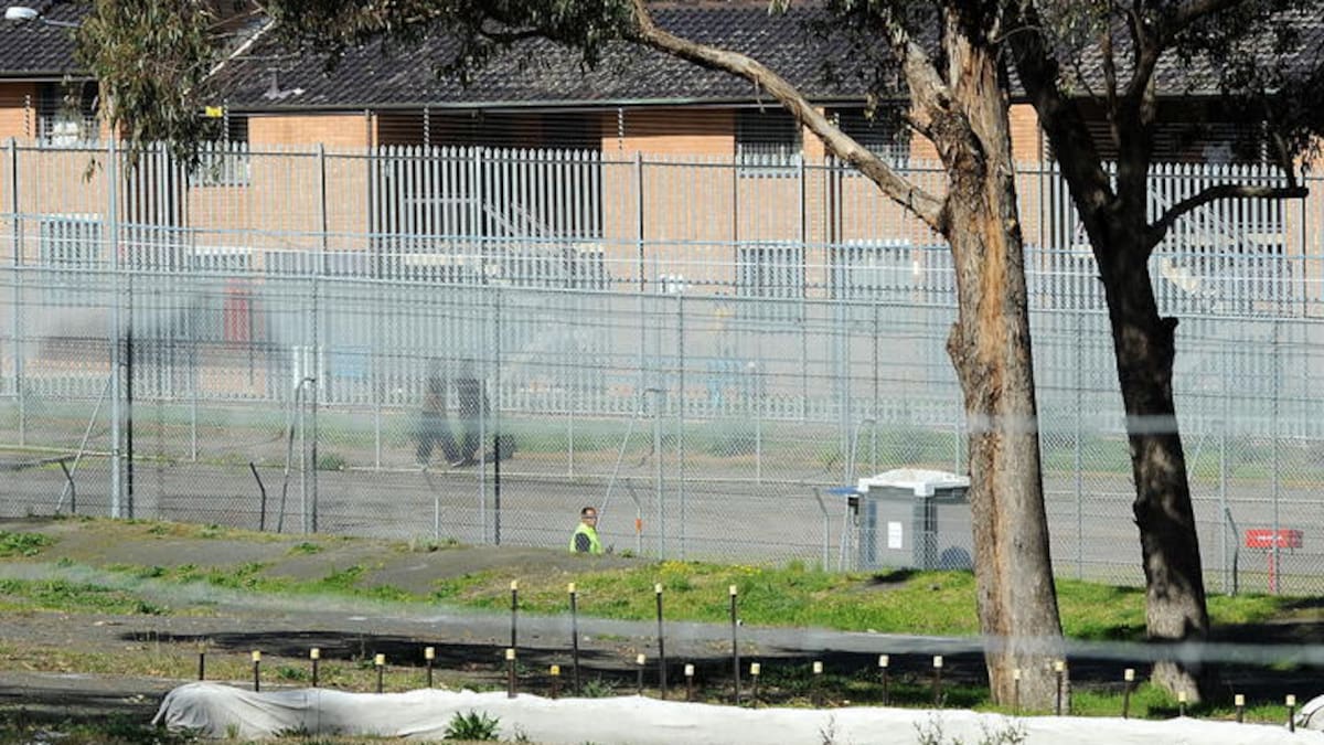 NZ woman Teresa Awhina Rangi warned by Australia three times before becoming a 501 deportee