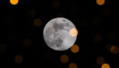 The full moon pictured glowing in the night sky.