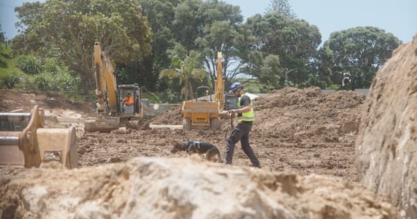 Police reveal scale of recovery inside the cordon at Mt Maunganui
