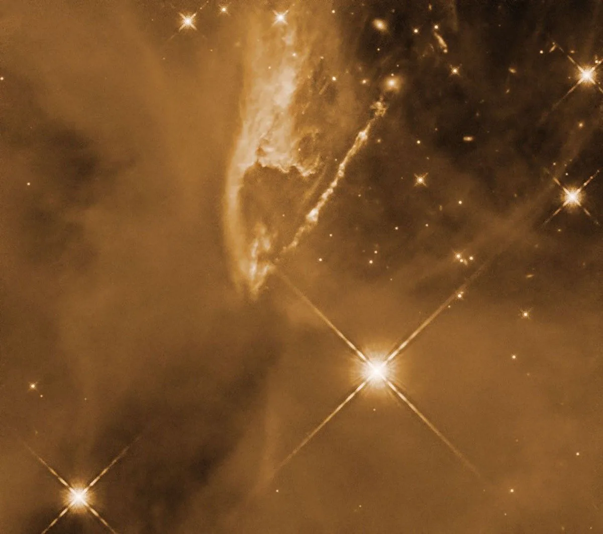 Protostars in the Orion Molecular Cloud complex, as seen by the Hubble Space Telescope. Credit: NASA, ESA, and T. Megeath (University of Toledo); Processing: Gladys Kober (NASA/Catholic University of America)