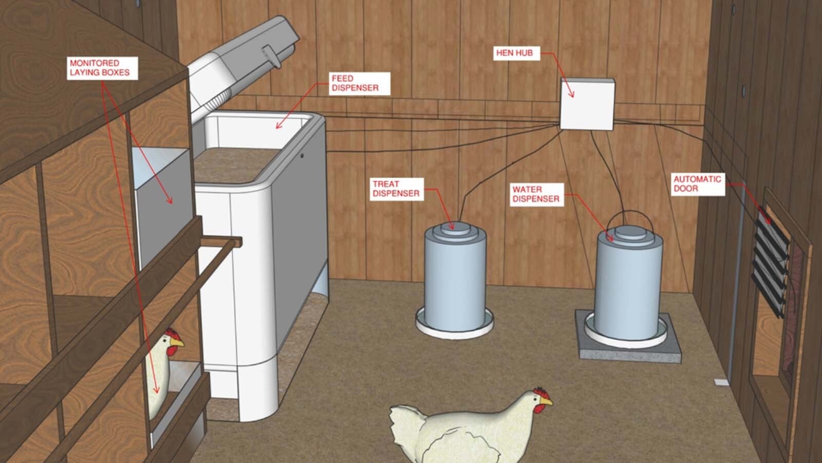 In illustration showing how Hen Hub works.