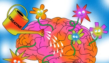 The Many Stealthy Ways Creatine Boosts Your Health