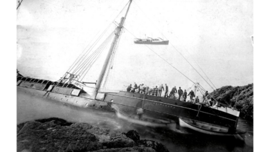 What lies beneath? The submerged secrets of the Hauraki Gulf - and why they need protecting