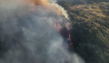 Large fire in Hawke’s Bay burns through Pan Pac-managed forest and DoC land